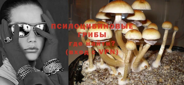 таблы Надым