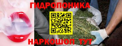 молекула духа Пенза