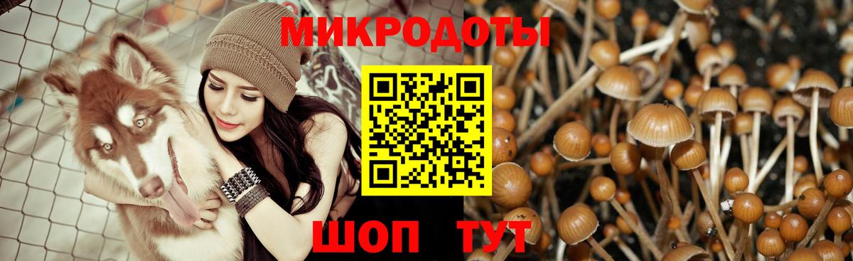 Галлюциногенные грибы ЛСД  Вход с VPN  продажа наркотиков  Ялта 